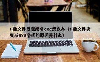 u盘文件后变缀名exe怎么办（u盘文件夹变成exe格式的原因是什么）