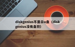 diskgenius不显示u盘（diskgenius没有盘符）