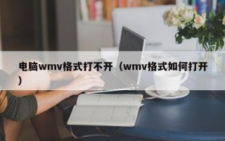 电脑wmv格式打不开（wmv格式如何打开）