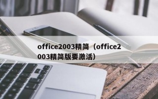 office2003精简（office2003精简版要激活）