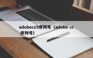 adobecs5序列号（adobe cc 序列号）