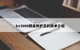 kv3000硬盘救护王的简单介绍