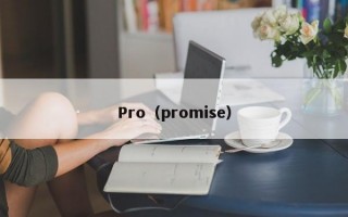 Pro（promise）