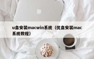 u盘安装macwin系统（优盘安装mac系统教程）